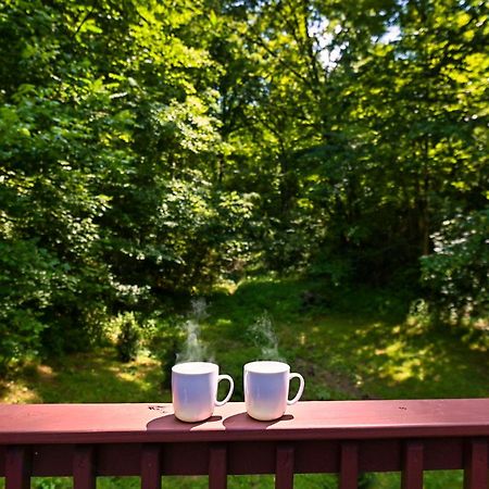 Smoky Mountains Hut Tub Cabin Dog Friendly 塞维尔维尔 外观 照片